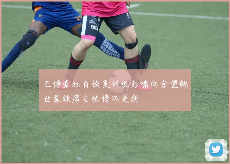 王博豪独自恢复训练彭啸向余望鲍世蒙缺席合练情况更新
