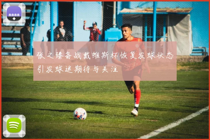 张之臻备战戴维斯杯恢复发球状态引发球迷期待与关注
