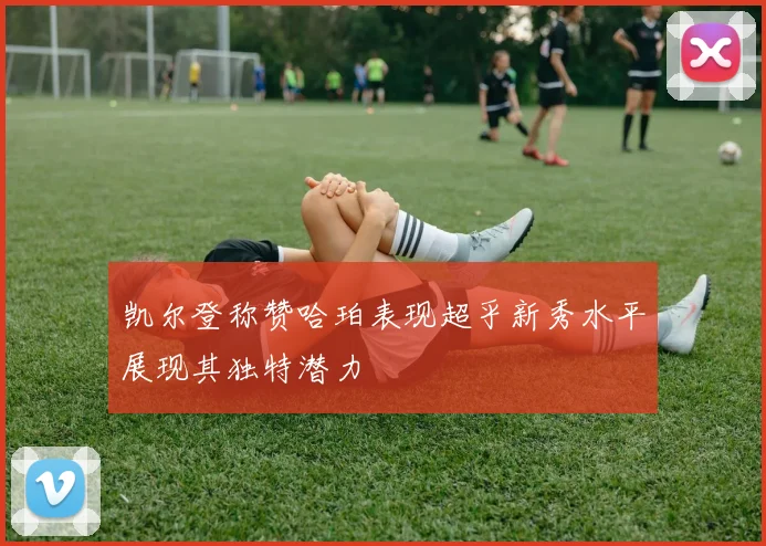 凯尔登称赞哈珀表现超乎新秀水平展现其独特潜力