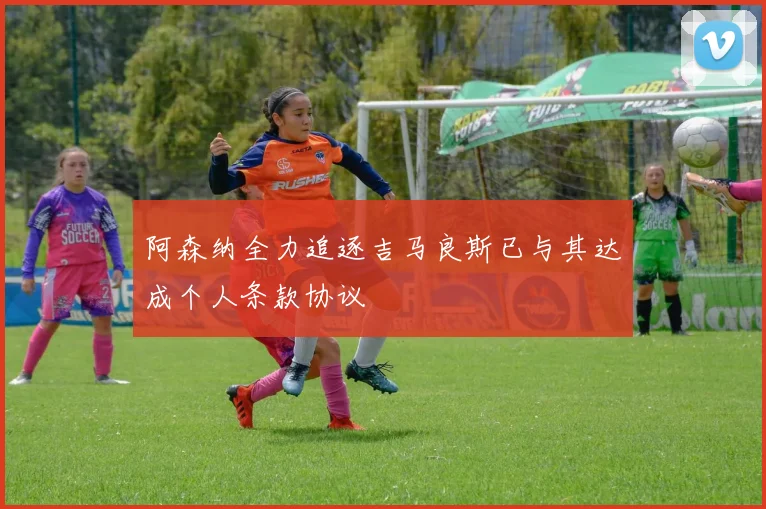 阿森纳全力追逐吉马良斯已与其达成个人条款协议
