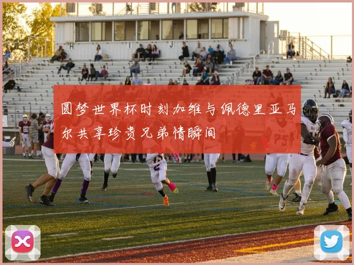 圆梦世界杯时刻加维与佩德里亚马尔共享珍贵兄弟情瞬间